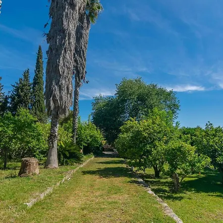 Sa Teulera Villa Sencelles